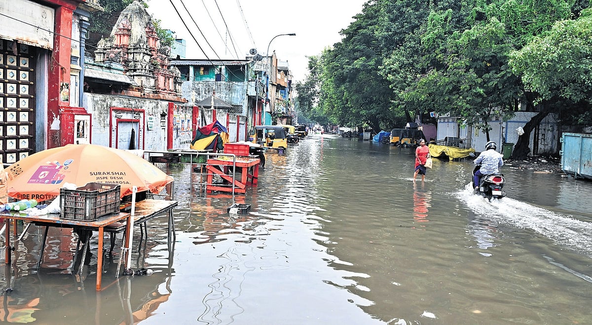 TN CM reviews rain relief work, asks ministers to return to city