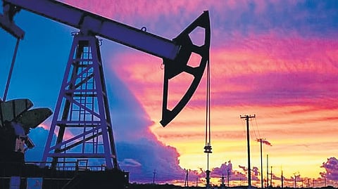 Exports reported as destined for EU ports from refineries running on Russian crude rose 80 per cent in value, including a single 104,000-tonne cargo of gasoil (diesel) from Jamnagar still en route to Rotterdam.