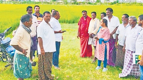 The agriculture officer inspected shops and fields, warning traders against violations and directing officials to remain accessible.