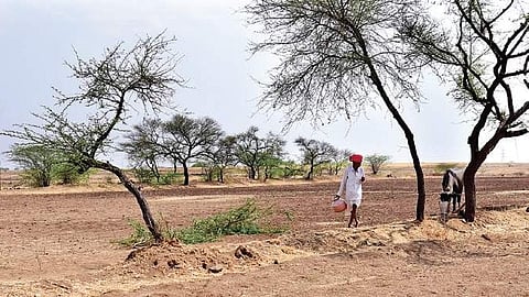 The assessment by ICAR-NIANP scientists in 226 of 240 taluks has found that prevailing drought conditions induced water scarcity, heat stress, malnutrition and starvation.