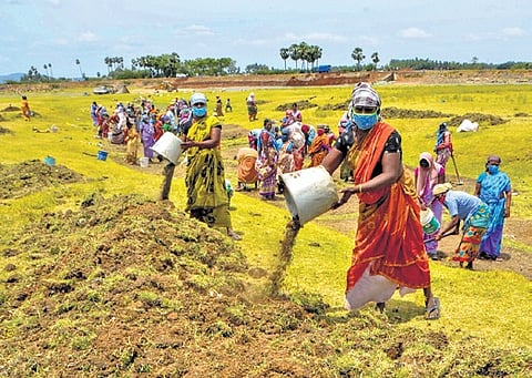 The entire allocation of Rs 100 crore for this year will be funded by TN 