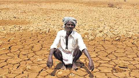 The situation marks a sharp deterioration from 2017, when Thanjavur was the only district to record a rise in groundwater levels, by 1.12 metres, while all other districts reported a decline.