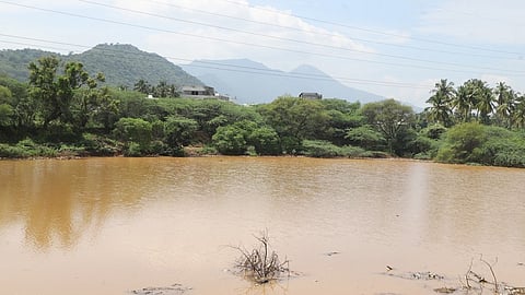 Kanuvai check dam along the Kanuvai-Panneermadai Road.