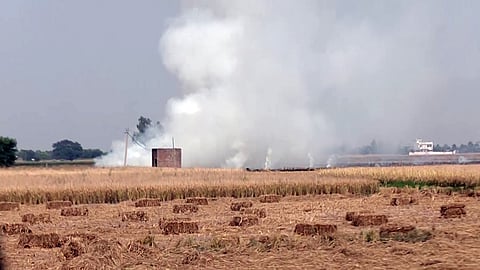 A view of burning stubble near Chabhal Kalan, in Tarn Taran, Punjab, Oct. 14, 2026.