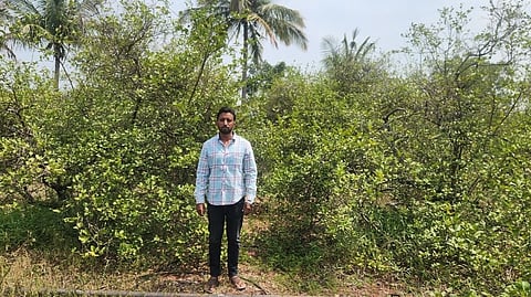 Akram Malkhed at his lemon farm in Babaleshwar taluk of Vijayapura district.