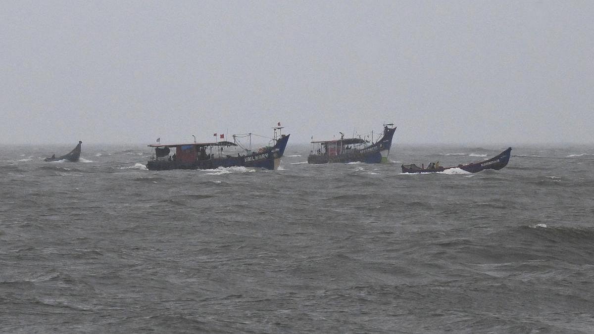 Juvenile fishing rampant, Keralam fishers call for revision of minimum size