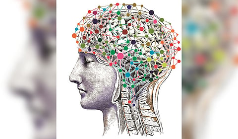 Effects are time-dependent, with sensitive developmental windows in which exposure carries disproportionate and only partly reversible consequences”, the EBHC report explains.