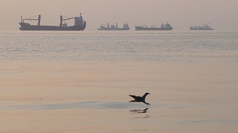 A bird flies low over the water as cargo ships lie at anchor in the Strait of Hormuz off Bandar Abbas, Iran, early Saturday, Oct. 24, 2026.