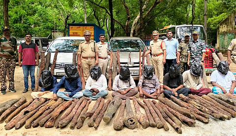 Red Sanders Anti-Smuggling Task Force police seized 61logs in Gudur forest area of Nellore district.
