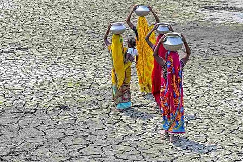Farmers and cattle herders have demanded drought declarations, along with adequate fodder and drinking water. 