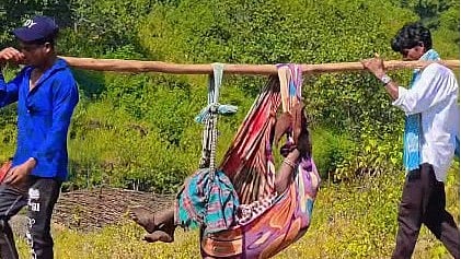 A 35-year-old pregnant woman was carried for nearly 5 km in a sling to reach an ambulance in Kashipur block of Rayagada district. 