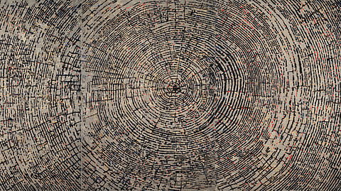 'The Witness' by GR Iranna 