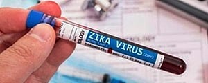Dengue, Chikungunya, or Zika? How to Spot the Difference and Act Fast