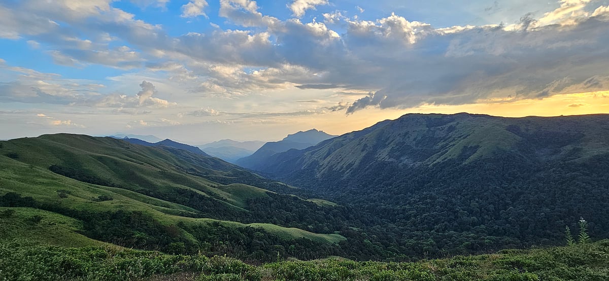 Karnataka govt data reveals 2.37 lakh acres of forest land encroached