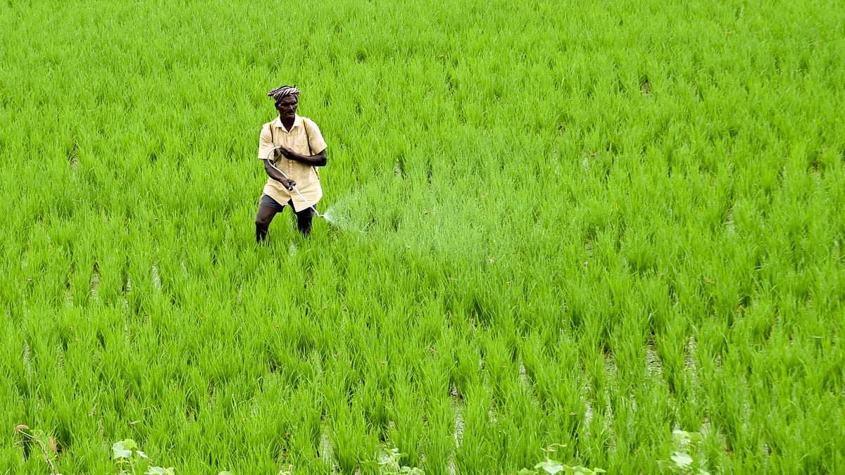 New Tech Ready To Recharge Soil Carbon Levels Fertility In Bengaluru new-tech-ready-to-recharge-soil-carbon-levels-fertility-in-bengaluru
