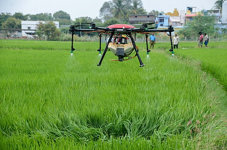 AI to boost agriculture productivity in Kerala