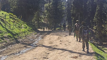 Pakistan national captured in Jammu identified as terrorist guide ...