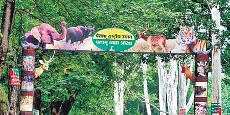 Country’s first AI centre to study human-elephant conflict in Palamu soon