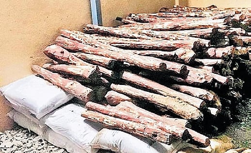 Minister Ramalinga Reddy seeks report on sandalwood sale in Karnataka