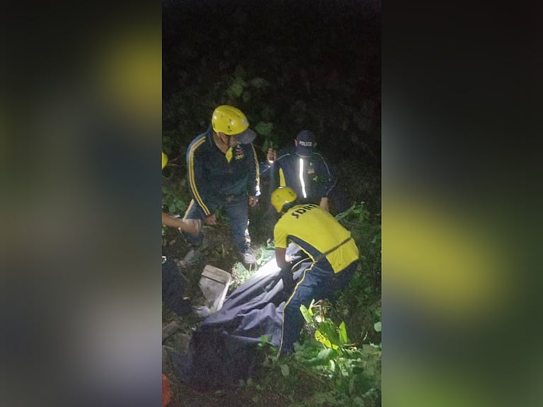 Three dead as SUV carrying wedding guests plunges into gorge in ...