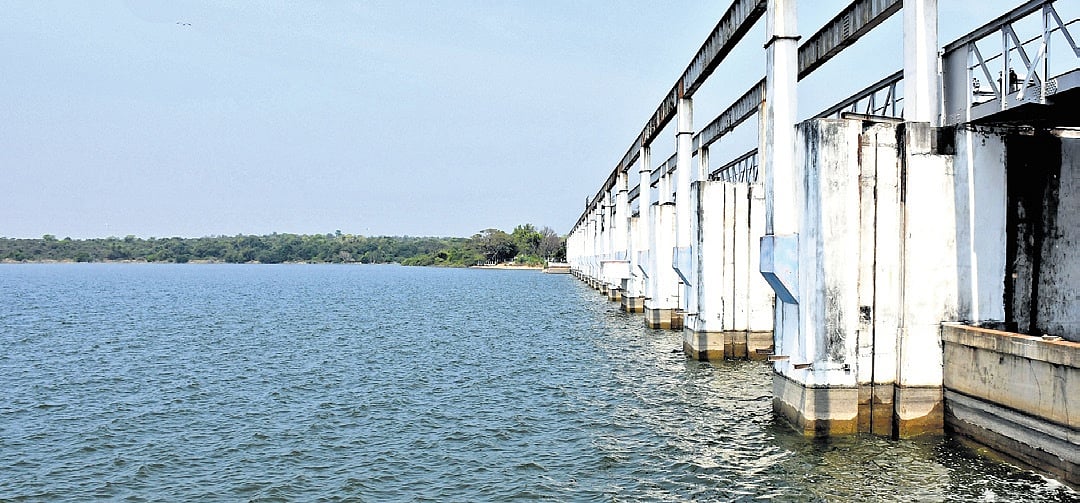 India tops global virtual water trade amid freshwater crisis