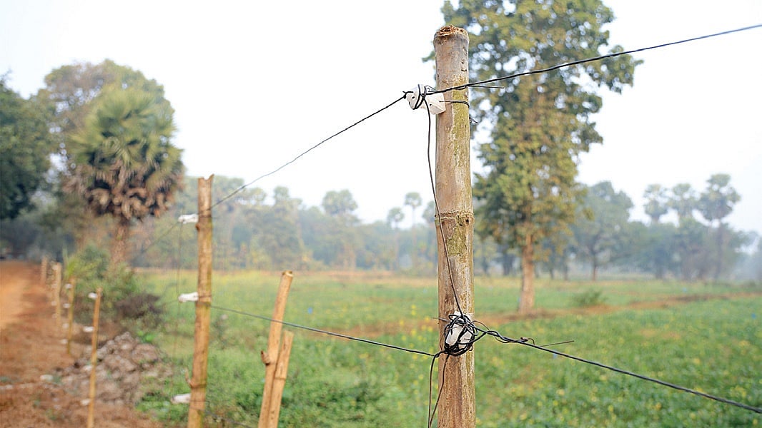 Slar Railing Solar fence protected plantations setup in Tamil Nadu's Hogenakkal ...