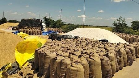 Odisha extends validity of tokens for paddy purchase by 15 days