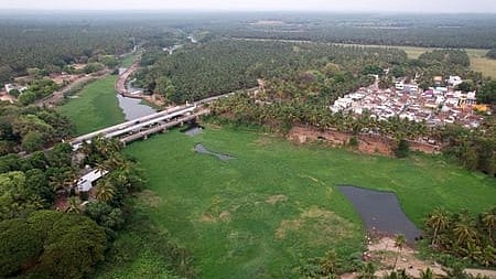 Forest department, PWD to inspect PAP contour canal to curb animal deaths