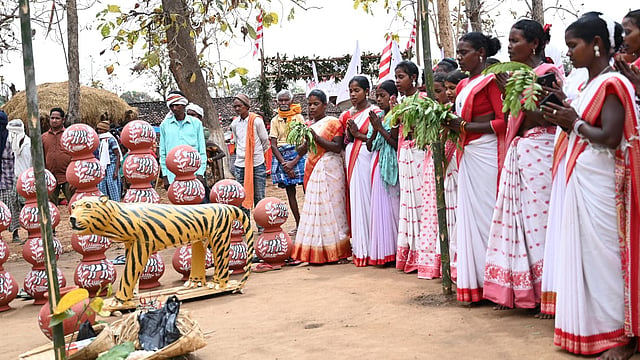 ‘Bagh Devta’ initiative brings tribal faith into forest conservation in ...