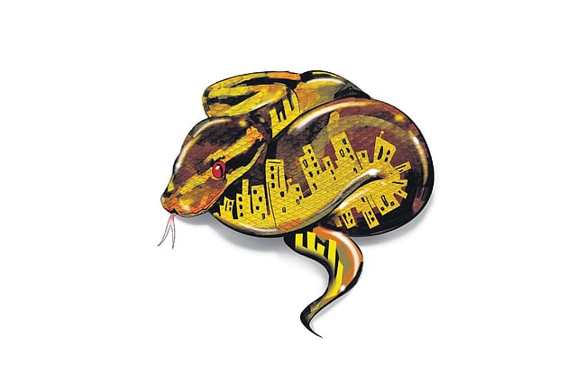 Amid heat, hatchlings push snake sighting calls in Kerala to 3,000 a month