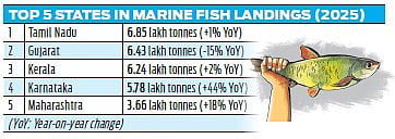 TN pips Gujarat for top spot in marine fish landings in ’25