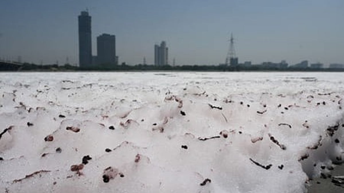 Development Control Committes Heated As Yamuna chokes, political heat rises in Mathura ahead of 2027 UP ...