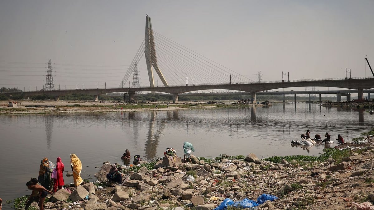 No commercial activity at Yamuna floodplains: Delhi High Court