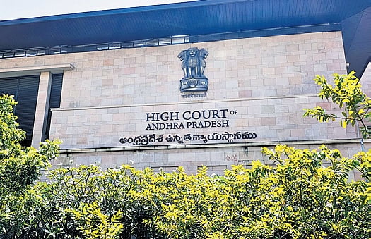Andhra HC revokes bail of school principal in POCSO case