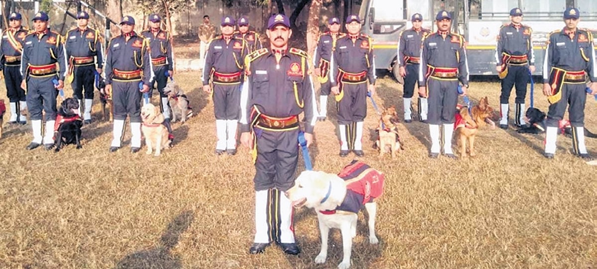 Delhi Police K9 unit gets 54 Labradors, Belgian Malinois