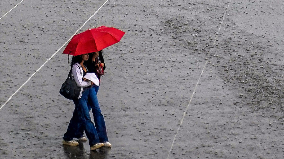 Madurai, Two districts see sparse rainfall on red alert day, high alert ...