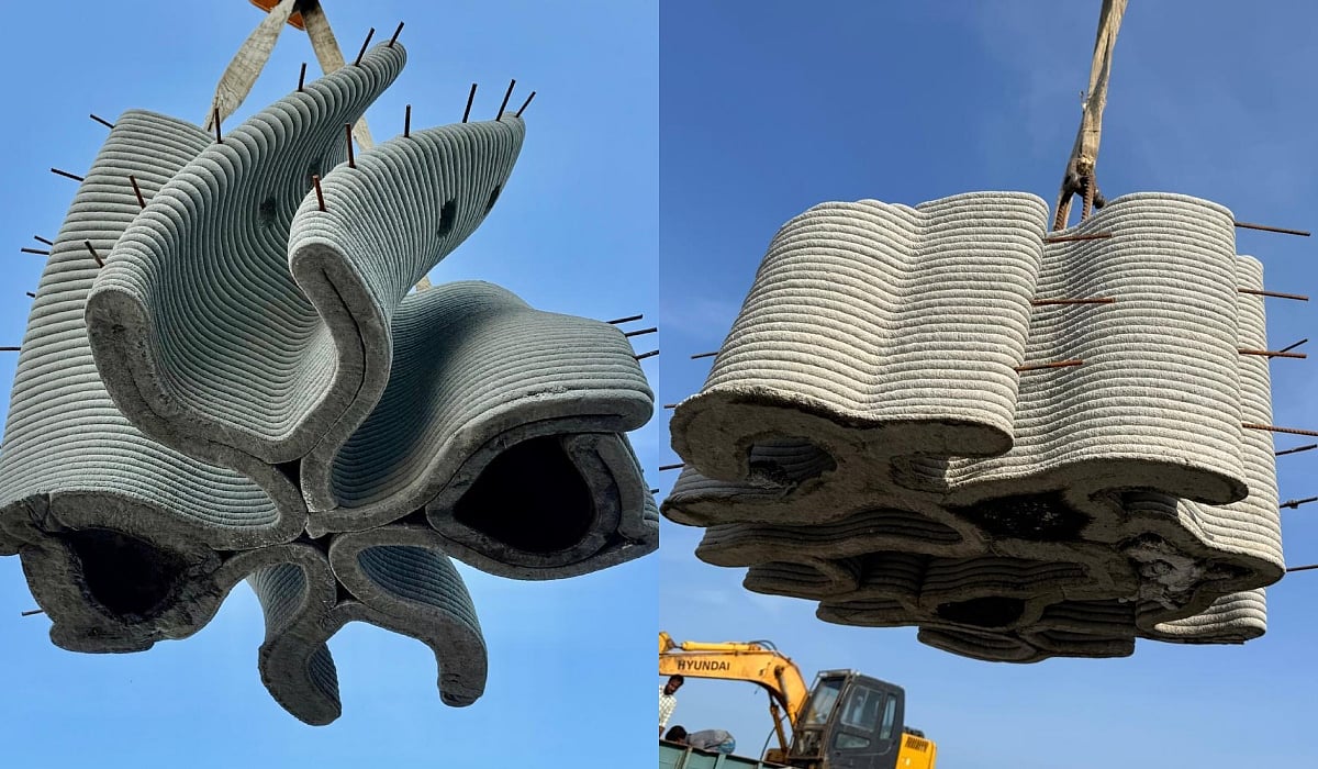 New home for marine species: India's first 3D-printed reefs to be sunk off  Ramanathapuram coast in TN
