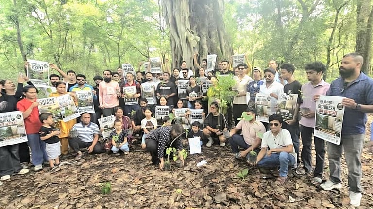 Uttarakhand halts felling of 3,000 trees for Dehradun-Rishikesh highway ...