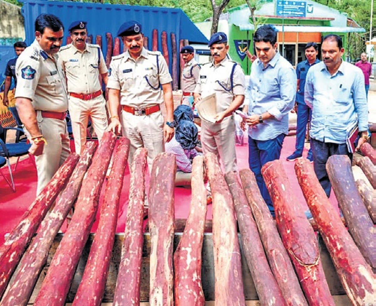 Forest Beat Officer Among Three Held In Seizure Of Rs 1 5 Crore Red forest-beat-officer-among-three-held-in-seizure-of-rs-1-5-crore-red
