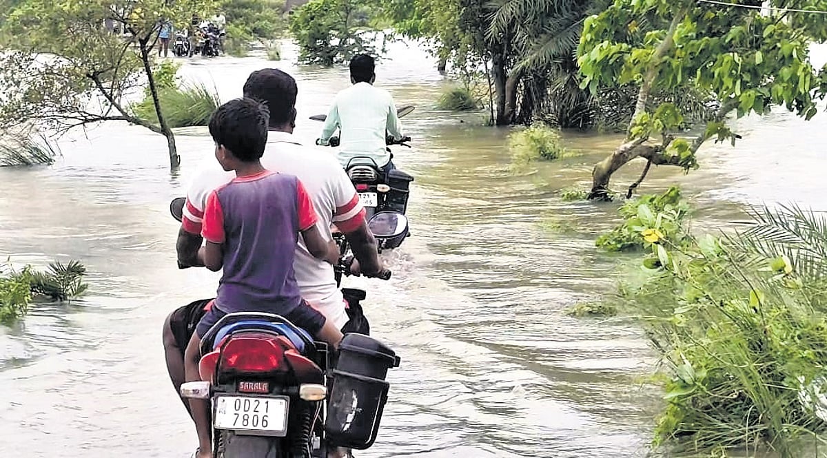 Hirakud dam water inundates Odisha's Jagatsinghpur, crops damaged and ...