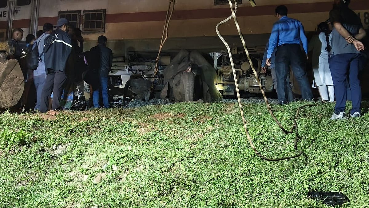 Elephant, calf killed by train near Kerala's Walayar, traffic disrupted ...