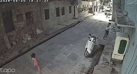 Five-year-old girl mauled by stray dog in Kota; CCTV captures horrifying attack