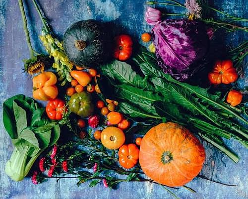The vegetarian spectrum: Balancing nutritional adequacy and health benefits