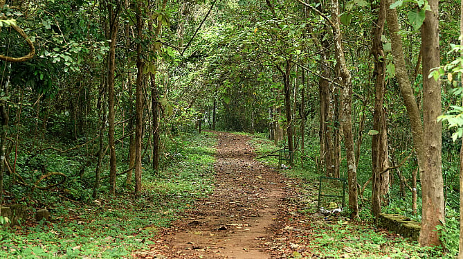 Karnataka mulls charges for ecosystem services in urban areas