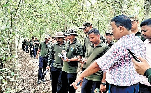 36 forest ranger trainees from Maharashtra tour Odisha's Bhitarkanika ...