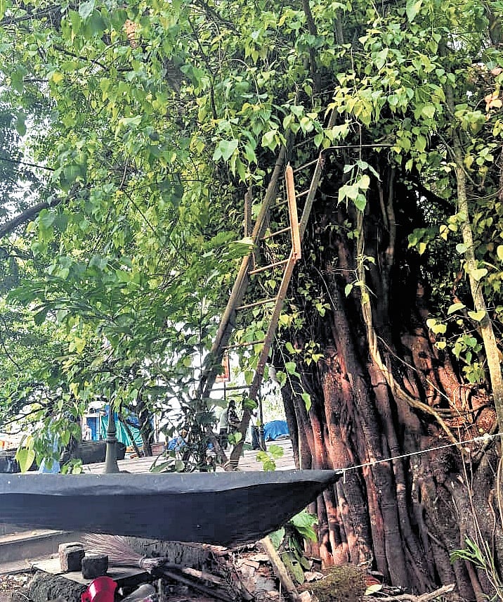 Eroded by tides of time, Kerala’s Raj-era weather system evokes concern