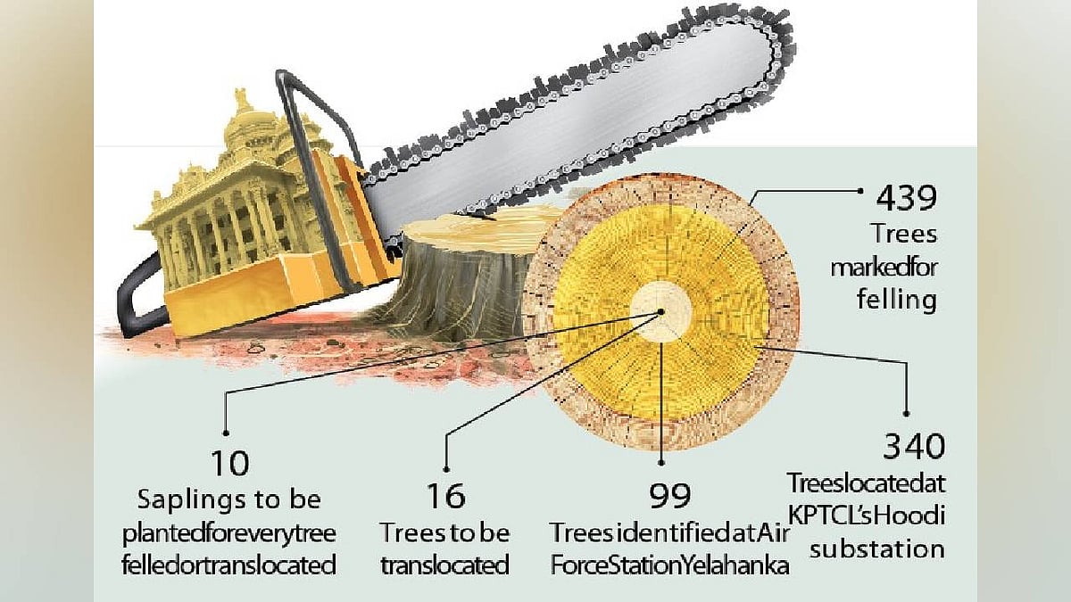 Bengaluru: 439 trees face the axe for two infra projects
