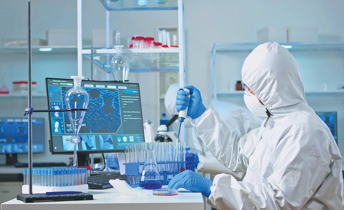 Wounds that heal without a trace? New fibre scaffold holds promise