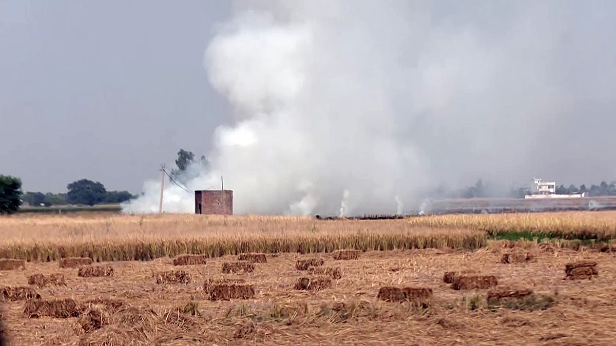 Stubble burning to account for over 13% of Delhi pollution on Thursday ...