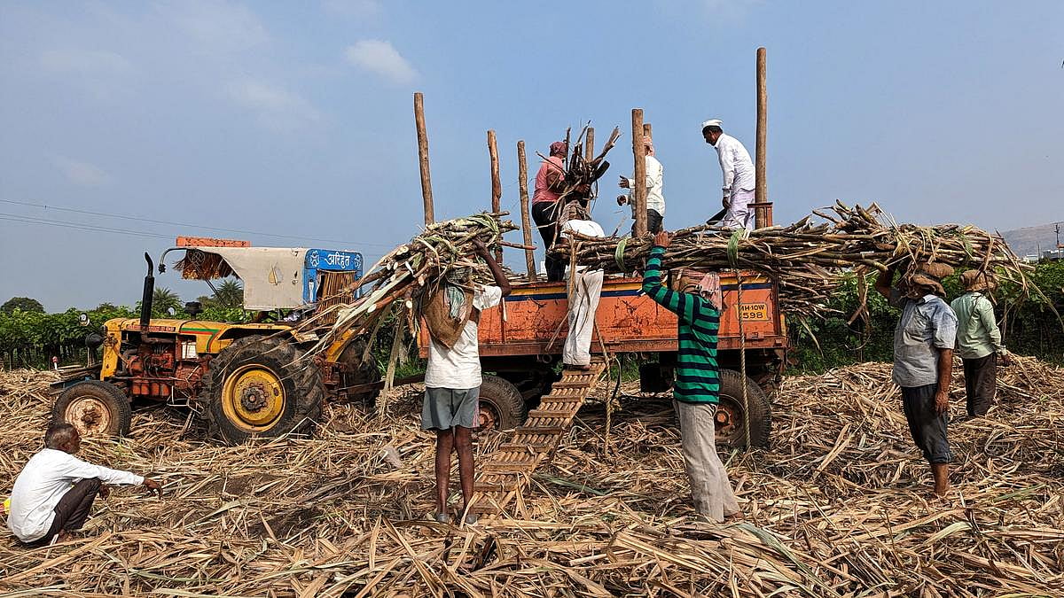Centre to track sugar production in real time amid price concerns